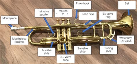 The Trumpet – Brass Techniques and Pedagogy