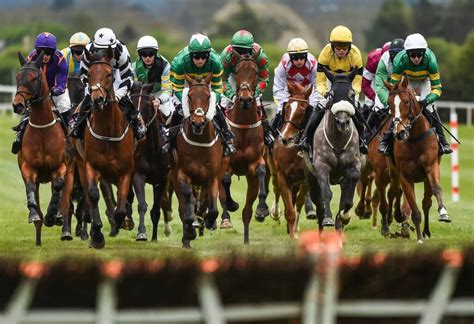 Horse Racing Bet Types | A Guide to All Bet Types September 2023