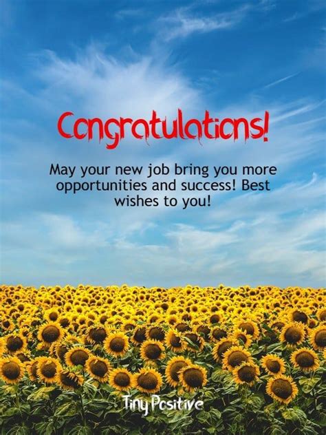 165 Best Wishes for New Job – Congratulations Messages Quotes Messages ...