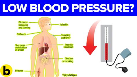 what causes low blood pressure - what causes low blood pressure