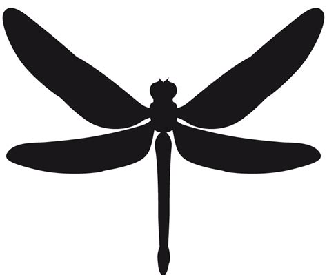 Stencil Sticker Dragonfly Insect - dragonfly png download - 800*674 - Free Transparent Stencil ...