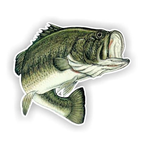 Largemouth Bass Fish Decal / Sticker Die cut - Decals, Stickers & Patches