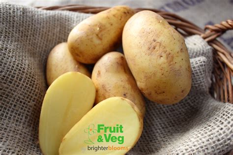 Seed Potato Charlotte - Grow Veg & Fruit by Brighter Blooms