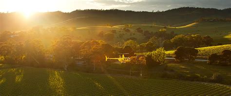 Barossa Valley Travel Guide | Things to do in Barossa Valley, South ...