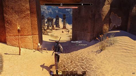 Elder Scrolls Online Looks Much Better With ReShade Raytracing