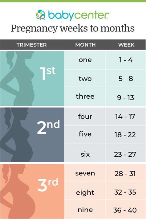 Pregnancy in weeks, months, and trimesters - Pregnancy outfits - #months #Outfits #Pregn ...