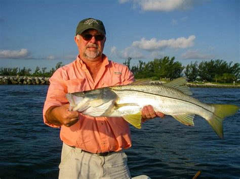 Snook Fishing Season Insider Tips