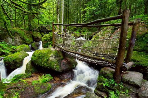 10 Best Waterfalls in the Black Forest - What are the Most Beautiful ...