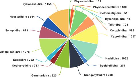 Figure 1 from A Phylogeny and Classification of the Amphipoda with the ...