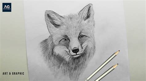 How To Draw A Fox Face Step By Step