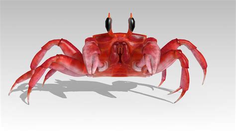 Crab in Characters - UE Marketplace