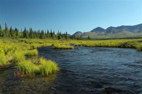 Denali Highway and Denali National Park in a day - Lee Petersen