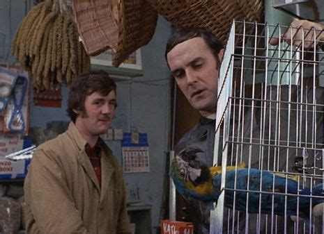 Monty Python: The true story behind the ‘Dead Parrot Sketch’ | Dangerous Minds