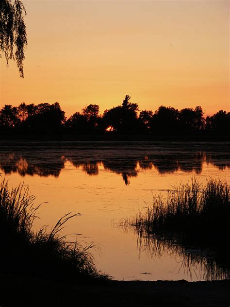 Serene Sunset Photograph by Lori Kingston | Fine Art America