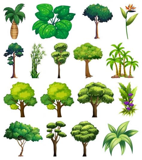 Free Vector | Set of variety plants and trees | Cartoon trees, Plants, House tree plants