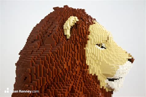 Sean Kenney's art with LEGO bricks : Lion