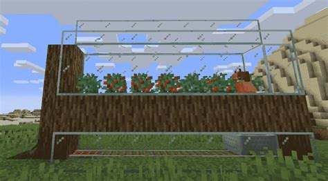 7 Awesome Uses And Farming Of Sweet Berries Minecraft - Game Specifications