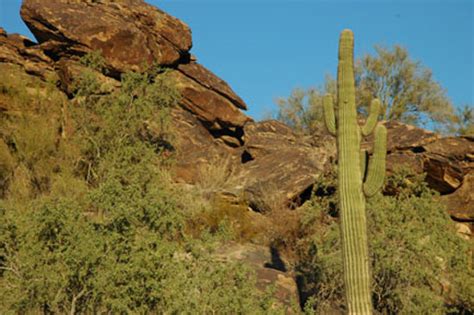 South Mountain Park (Phoenix, AZ): Hours, Address, Tickets & Tours, Attraction Reviews - TripAdvisor