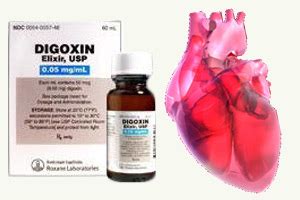 Digoxin Mechanism of Action | New Health Advisor