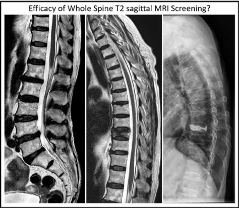 :: JKMS :: Journal of Korean Medical Science