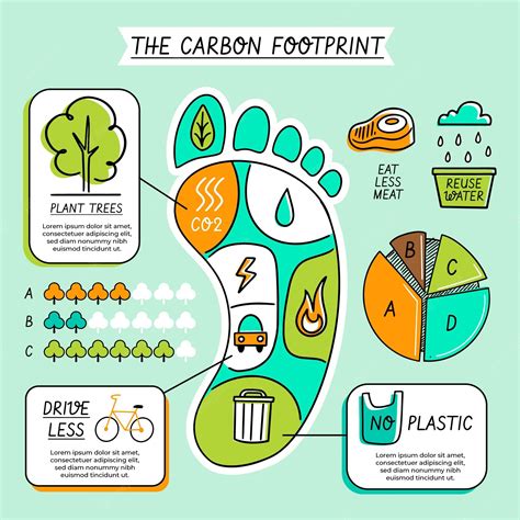 Ecological Footprint Poster