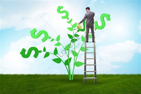 Businessman Watering A Money Tree Concept Photo Picture And HD Photos | Free Download On Lovepik