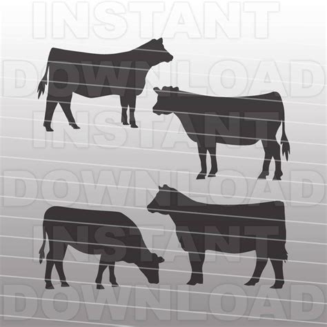 Show Heifer Svg,livestock Svg,farm Animal SVG File-cutting Template-vector Clip Art for ...