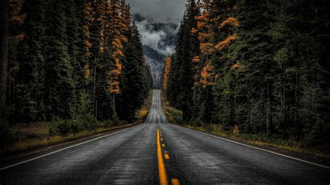 #road #nature #tree woody plant #forest #sky #lane #asphalt #wilderness #1080P #wallpape ...