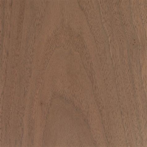 Black Walnut | The Wood Database (Hardwood)