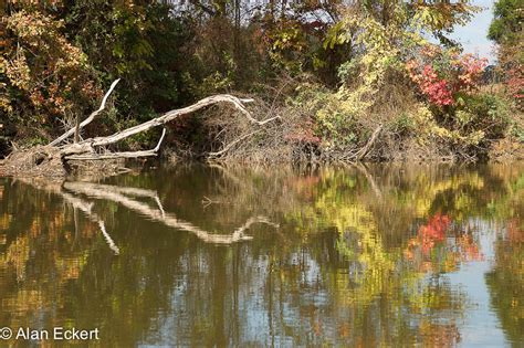 Nanjemoy reflections 12 | Alan Eckert Photography