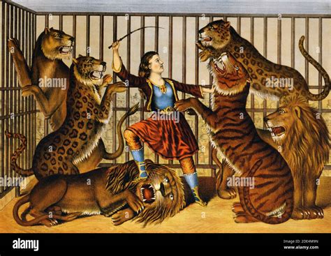 The Lion Woman - Print showing a woman lion-tamer in a cage with several lions and tigers ca ...