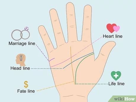 Palm Reading Marriage Line