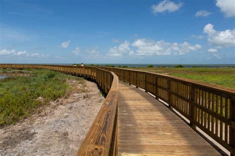 Boardwalk reopens at Aransas National Wildlife Refuge (w/video) | Environment | victoriaadvocate.com