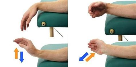 Wrist Flexion And Extension Exercises