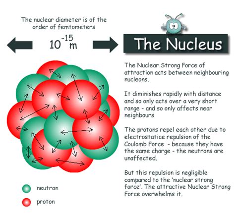 The nucleus of an atom contains - bostonmokasin