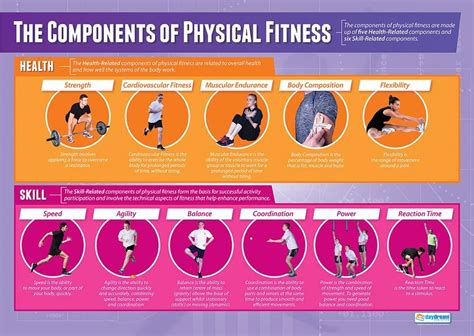 What Are The 6 Physical Fitness Tests at Lawrence Sena blog