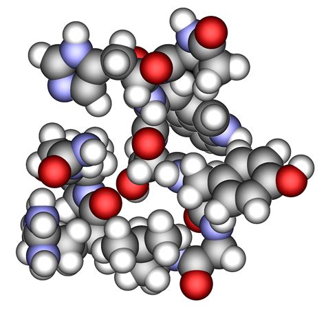 GnRH (Gonadotropin-Releasing Hormone) – Extreme Peptides