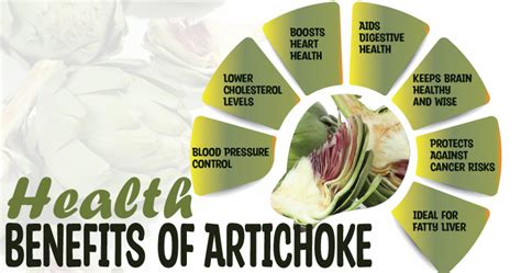 The Health Benefits of Eating Artichokes