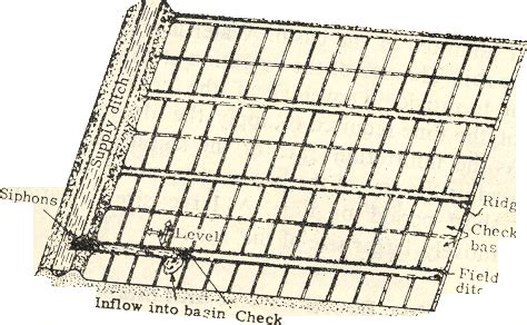 Schematic sketch of a typical layout of a check basin method of ...