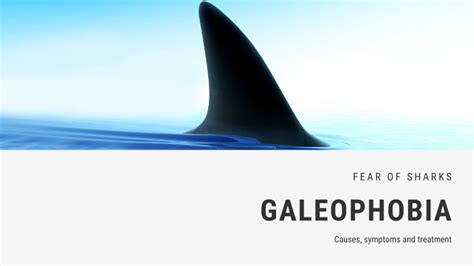 Fear of Sharks Phobia - Galeophobia or Selachophobia | FEAROF