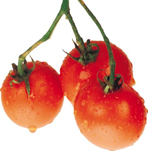 Tomatoes PNG