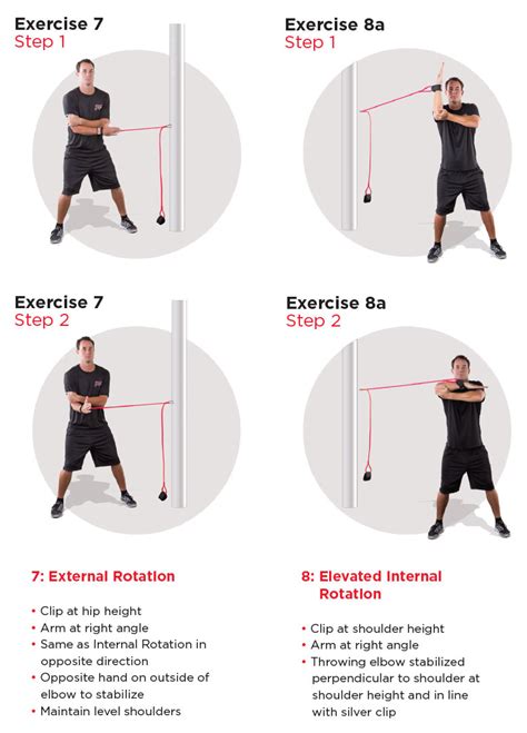 resistance band full body muscle sculptor workoutlabs fit resistance ...