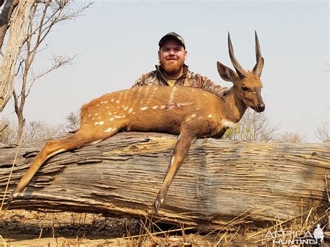 Chobe Bushbuck Hunt Zambia | AfricaHunting.com