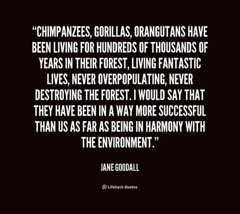 Quotes About Jane Goodall Chimpanzees. QuotesGram