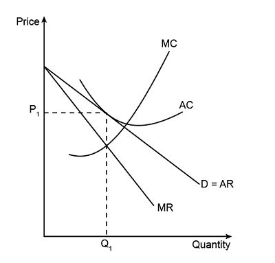 Oligopoly Graph Microeconomics