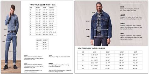 Top 60+ imagen levi's size chart jacket - Abzlocal.mx