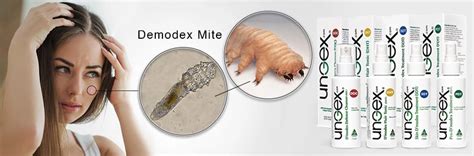 Demodex mite Treatment | Ungex - Ungex | Demodex treatment