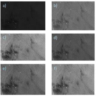 Different enhancement techniques (a) Original SAR image (b) Adjust ...