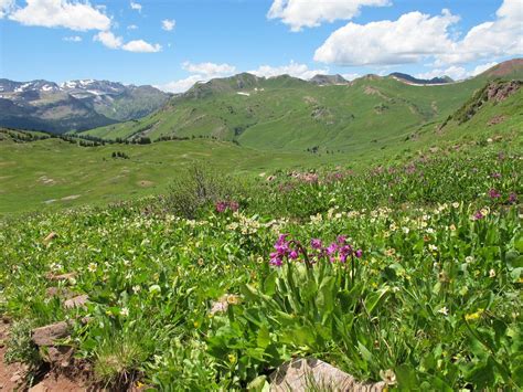 THE 10 BEST Aspen Hiking Trails (Updated 2024) - Tripadvisor