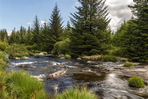 Galloway Forest Park | Dumfries & Galloway | caroline legg | Flickr